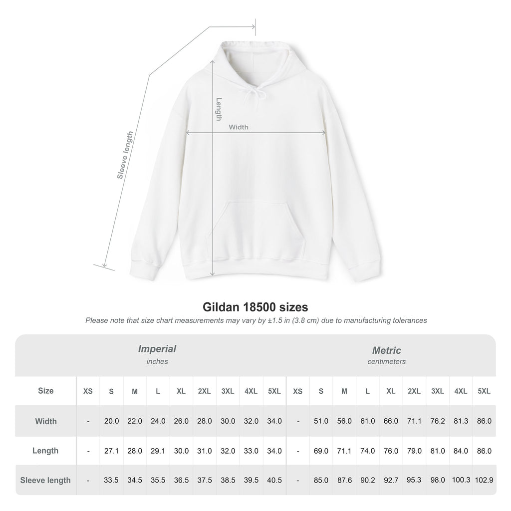 Pole Dancers vs. Photographers Hoodie — Women + Poles Design, No Cameras Allowed